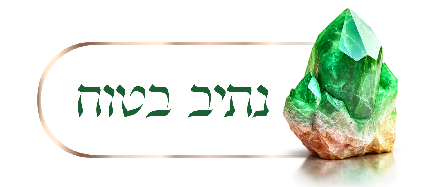 לוגו התוכנית קורס נתיב בטוח